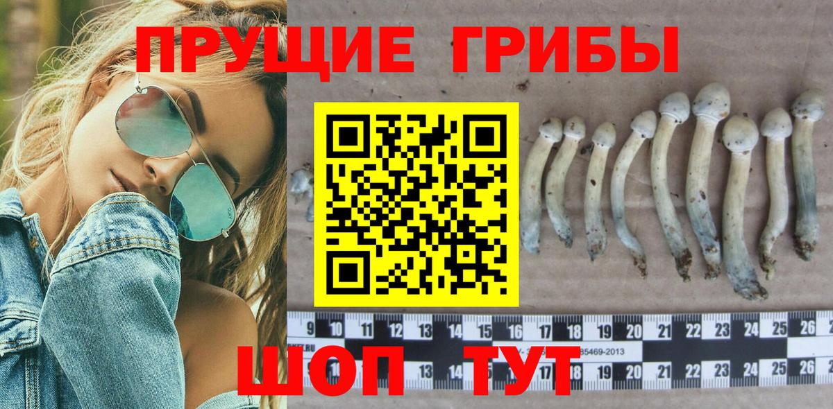Псилоцибиновые грибы Cubensis  Вход с VPN  Якутск 