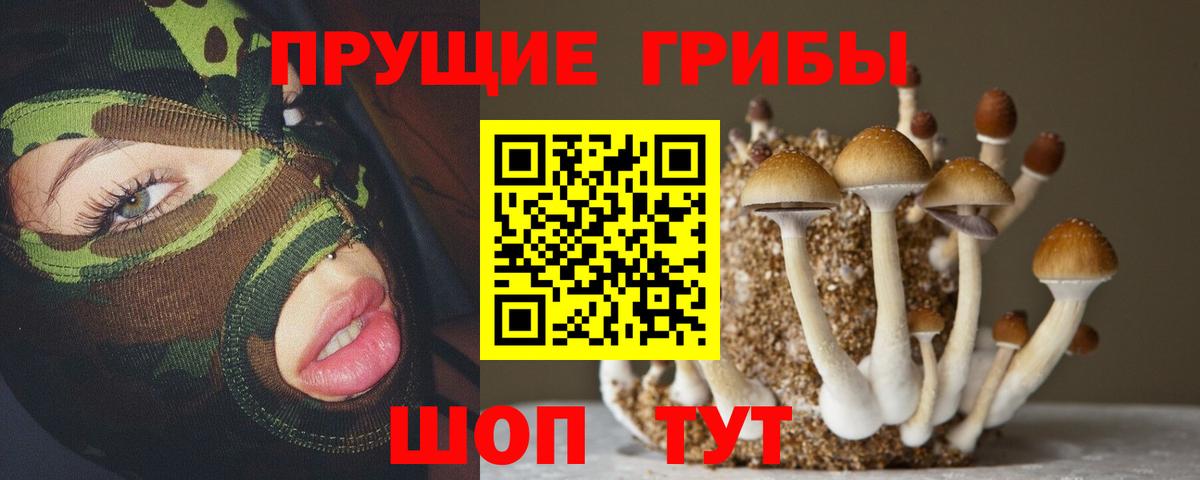 Псилоцибиновые грибы Cubensis Якутск
